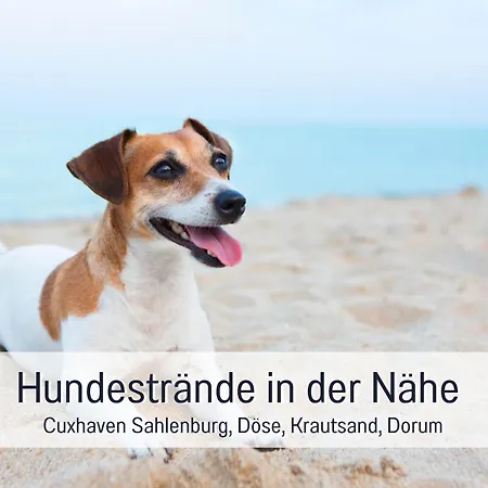 Ankerplatz - Bewertet Von Hundehaltern - Hunde Willkommen, Nicht Nur Geduldet - Hoher Zaun -whirlpoolwanne - Infrarotkabine - Familienfreundlich - Wellness - Eg Barrierefrei