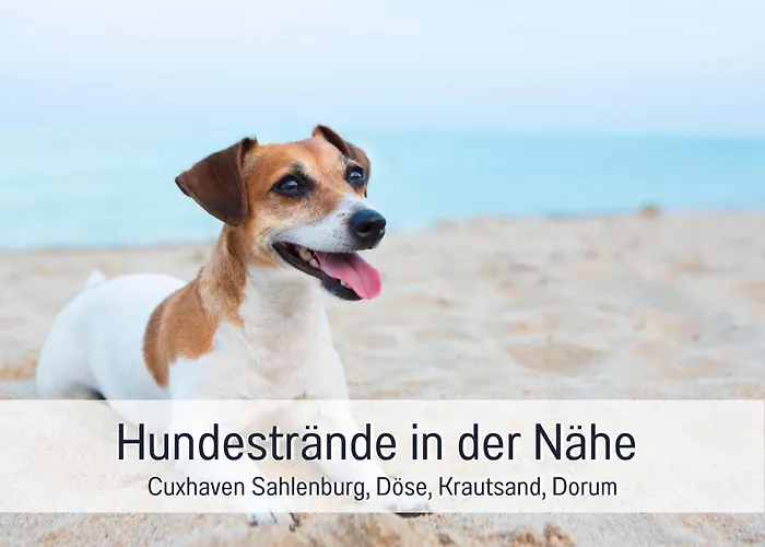 Ankerplatz - Bewertet Von Hundehaltern - Hunde Willkommen, Nicht Nur Geduldet - Hoher Zaun -whirlpoolwanne - Infrarotkabine - Familienfreundlich - Wellness - Eg Barrierefrei